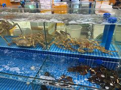 -众彩物流水产市场