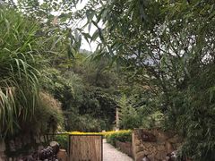 -远山有窑