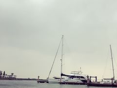 -平湖九龙山庄园圣马可酒店
