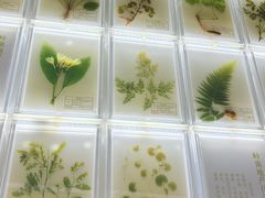 -广东中医药博物馆