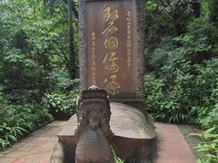 -青城山