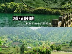 -龙坞茶村