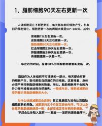 -Fundi张玉珊修身堂·indiba·BTL科技瘦身