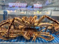 -东舜赶海·胶东海鲜家常菜(奥体中心店)