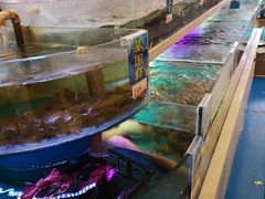 -至尊强仔(正光北街店)