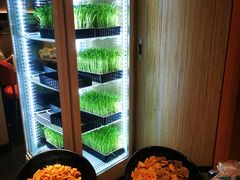 -煲宫猪肚鸡(晶品店)