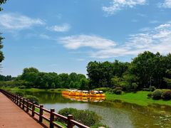 -上海海湾国家森林公园