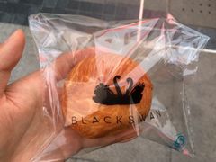 -BLACKSWAN黑天鹅(环球店)