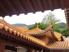 -深圳仙湖植物园