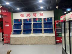 -虎虎龙虾大排档(双井店)