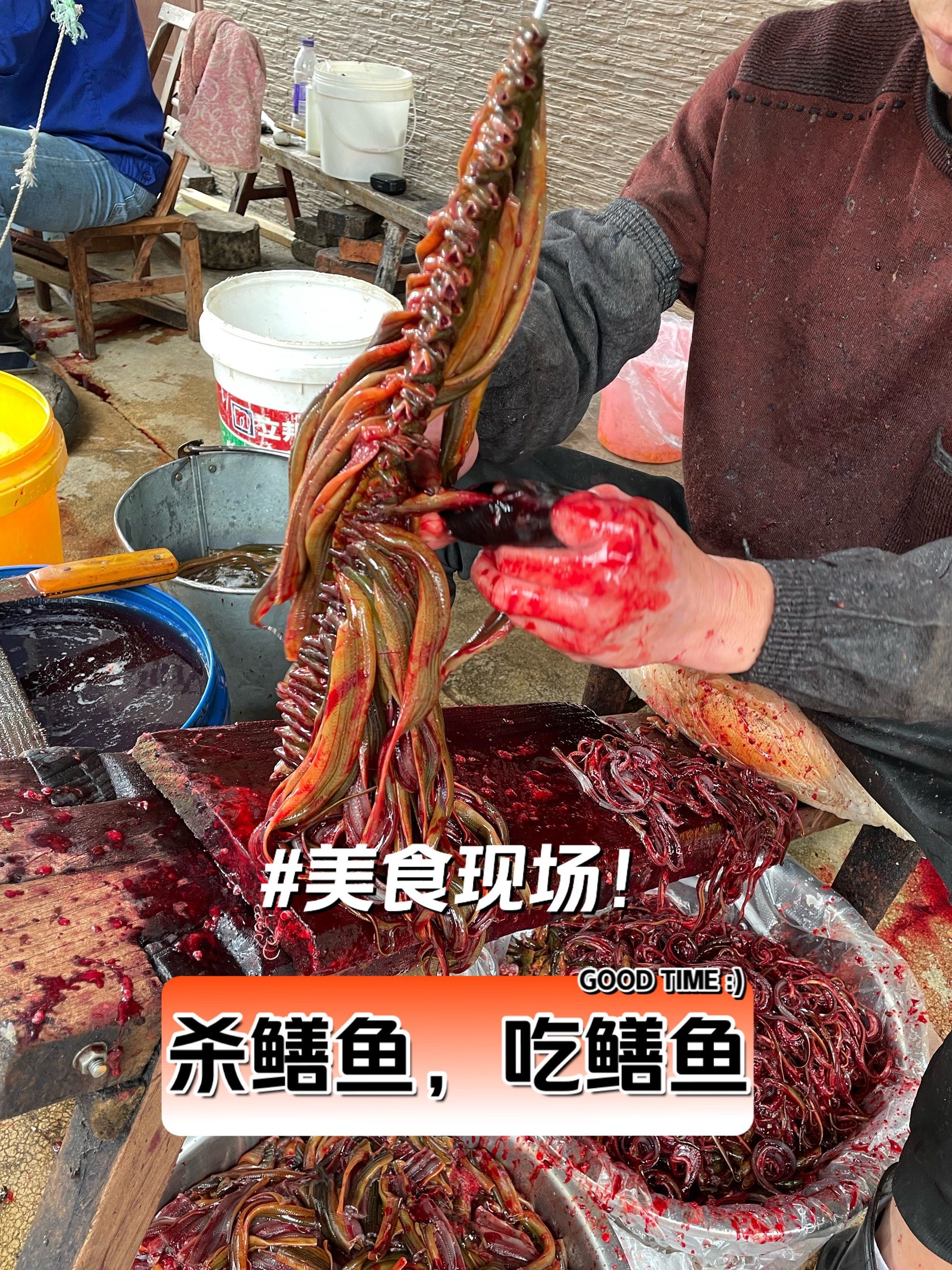 观赏型美食|现场看老师傅杀鳝鱼,手法也是菜!