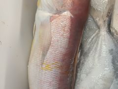 -梅子大排档