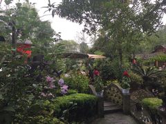 -青城甲(青城山店)