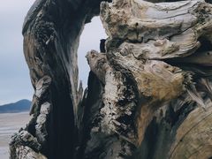 -花岙岛
