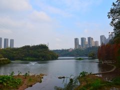 -重庆彩云湖湿地公园