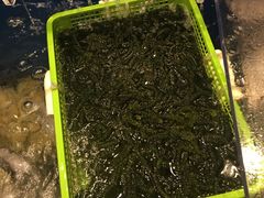 -鰓呼吸(那覇久茂地店)