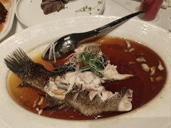 -洋洋中餐馆·SINCE 1997(信投店)