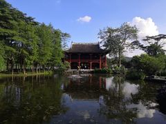-顺峰山公园