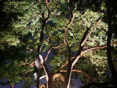 -西湖外事游船(湖滨二公园外事游船码头)