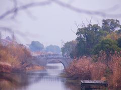 -梁鸿国家湿地公园