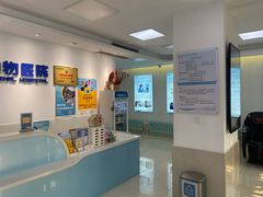 -北京观赏动物医院·24小时大型综合·猫专科·异宠专科