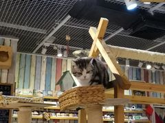 -小时光咖啡馆(开森度假森林店)