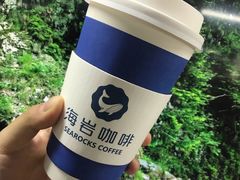 -海岩咖啡(南中环国金店)