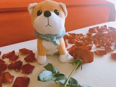 -上海崇明金茂凯悦酒店