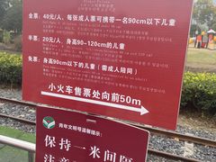 -径山花海