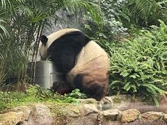 -石排湾郊野公园