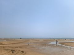-日照海滨国家森林公园