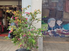 -海口骑楼老街历史文化街区