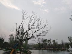 -北湖公园