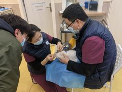 -芭比堂动物医院·犬猫全科·异宠专科(雁塔分院)