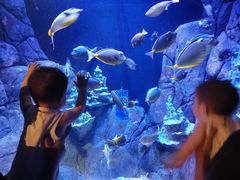 -成都浩海立方海洋公园