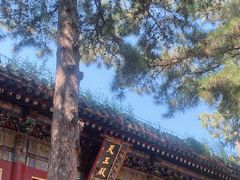 -潭柘寺景区
