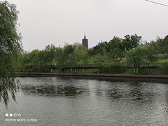 -西海子公园