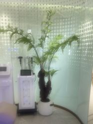 -碧莲盛·脱发养发中心