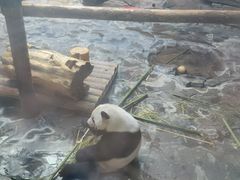 -济南野生动物世界