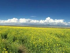 -青海湖国家重点风景名胜区
