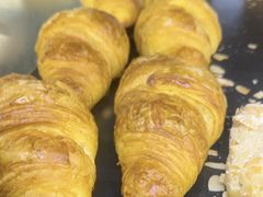 -Wagas沃歌斯(浦东机场店)