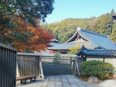 -西芳寺(苔寺)