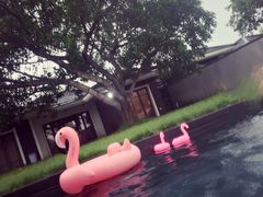 -候鸟水榕庄度假酒店