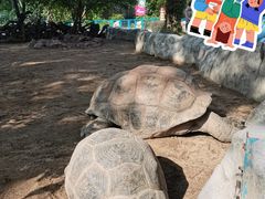 -广州长隆飞鸟乐园