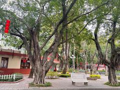 -汕头市小公园
