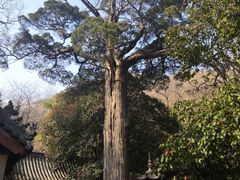 -青岛崂山太清宫