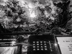 -侵华日军南京大屠杀遇难同胞纪念馆