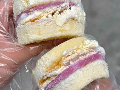 -洛阳郁金香牡丹园