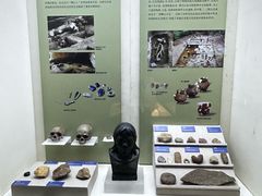 -广西民族博物馆