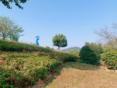 -东莞植物园